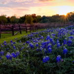 Buying a first home in liberty hill texas real estate